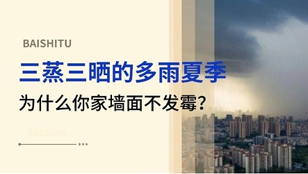 三蒸三晒的多雨夏季，为什么你家墙面不发霉