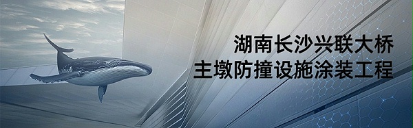 086湖南长沙兴联大桥