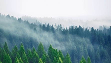 无机涂料的全生命周期绿色理念