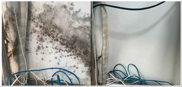 抗菌防霉效果展示 抗菌防霉效果展示
