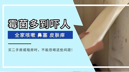 房东一句“刷层漆盖住就行了”，坑了多少买二手房的人？