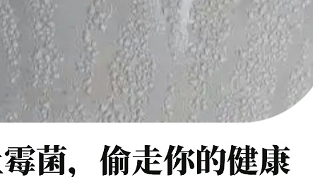 别让墙面那点“霉”偷走你的健康