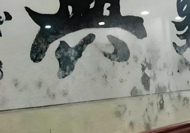 百适涂无机涂料防霉防潮效果展示